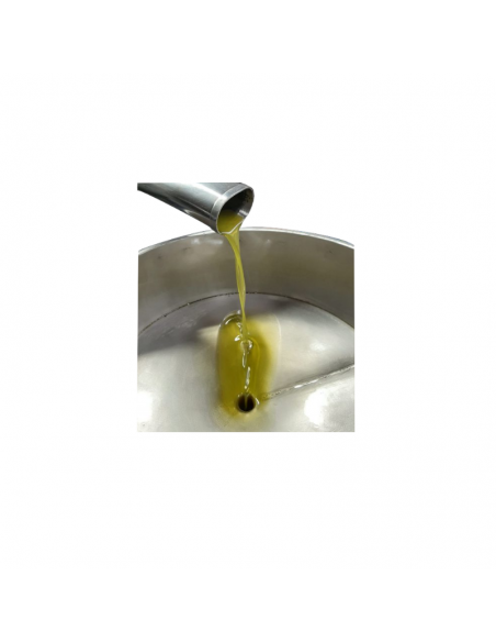 Olio di oliva carboncella